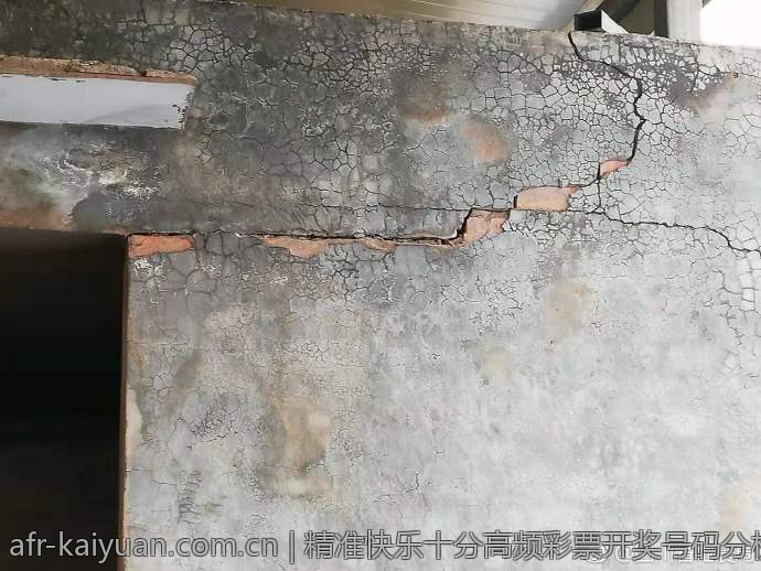 精准快乐十分高频彩票开奖号码分析
