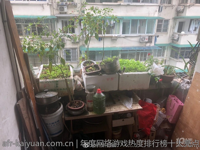 年度网络游戏热度排行榜十大亮点总结