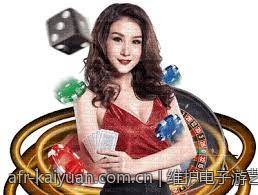 维护电子游艺平台资金安全的完整攻略